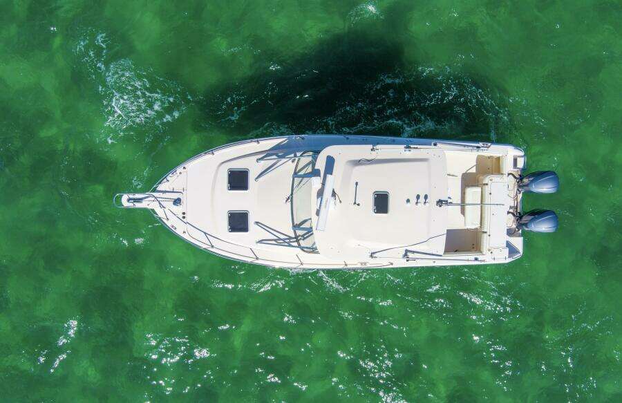 2009 33 Grady White 330 No Name Overview