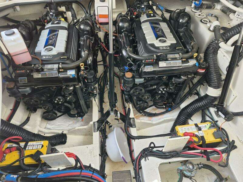 2019 Sea Ray Sundancer 350 Coupe