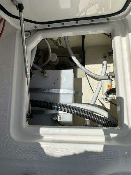 2024 World Cat 280CCX