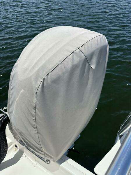 2024 World Cat 280CCX