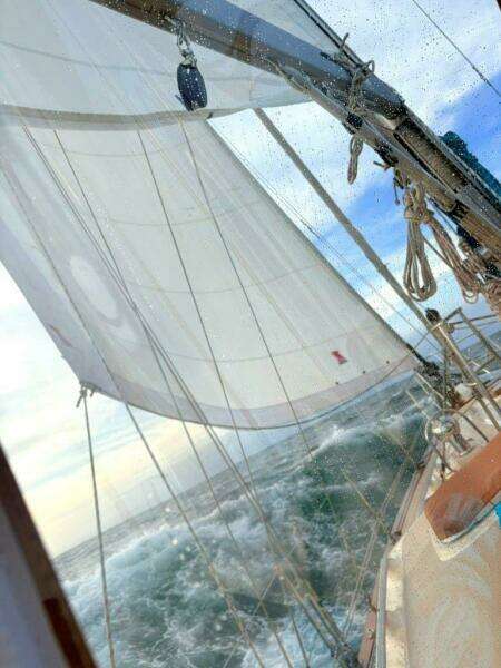 2007 Island Packet 485