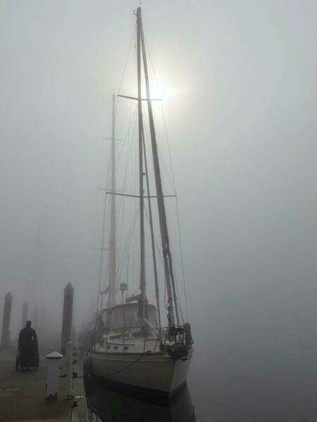 2007 Island Packet 485