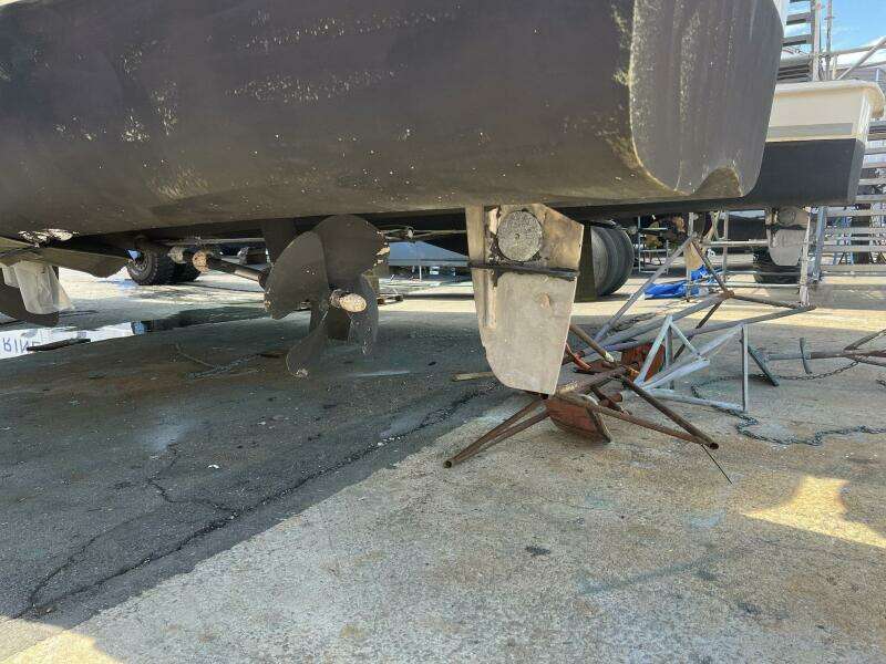 2018 Leopard Power Cat Props