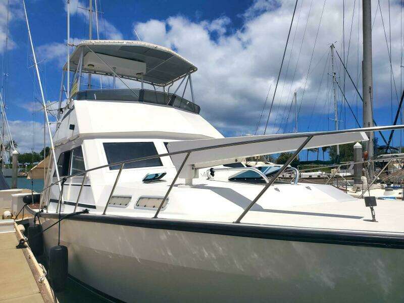 1989 Rampage R 401 SF SPORTFISHER