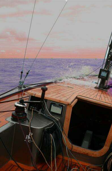 2025 Black Pepper Code#