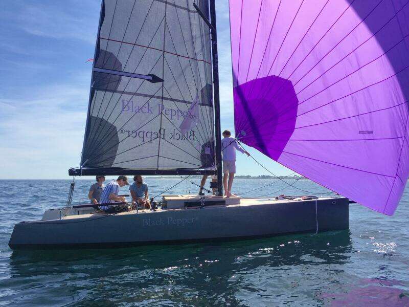 2025 Black Pepper Code#