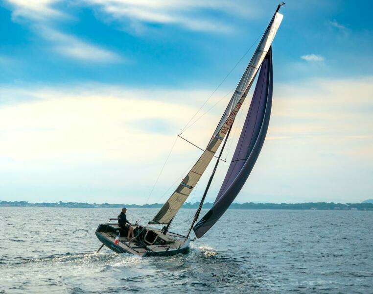 2025 Black Pepper Code#