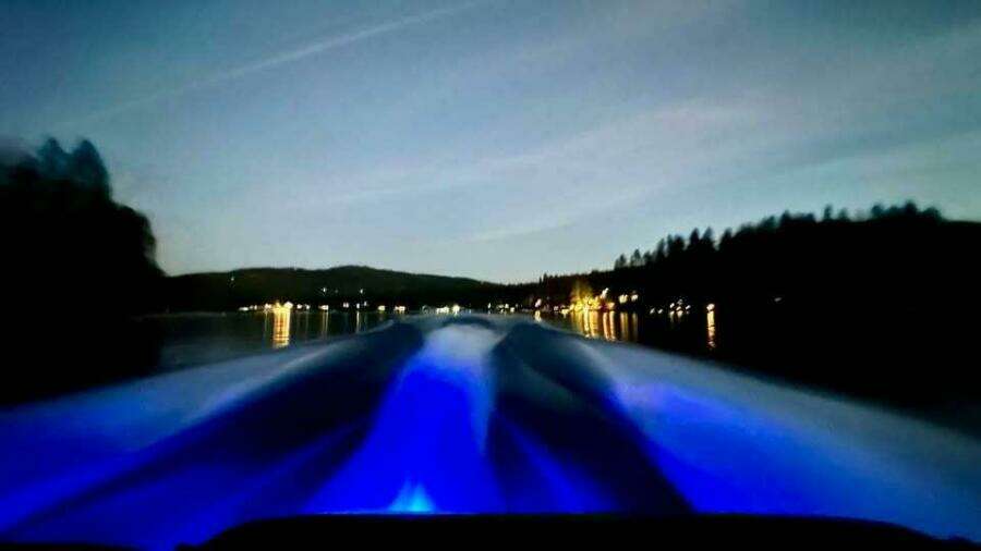 2023 Yamaha Boats 252S