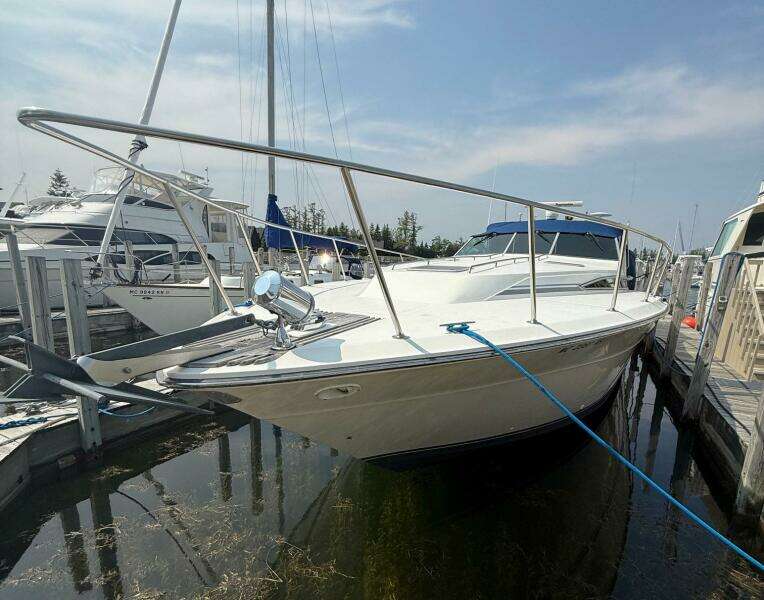 1989 Sea Ray 460 Express Cruiser
