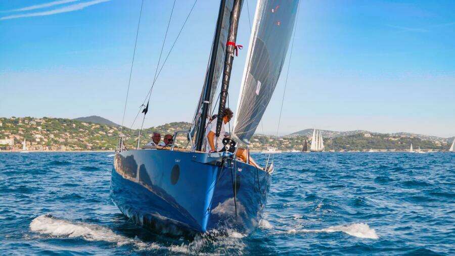 2025 Black Pepper Code 0.1