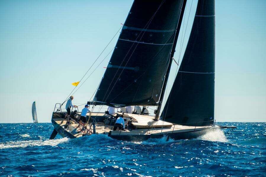 2026 Black Pepper Code 1