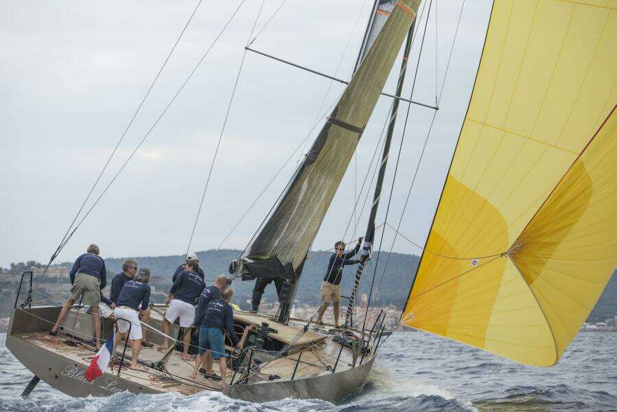 2026 Black Pepper Code 1