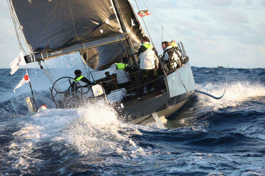 2026 Black Pepper Code 1