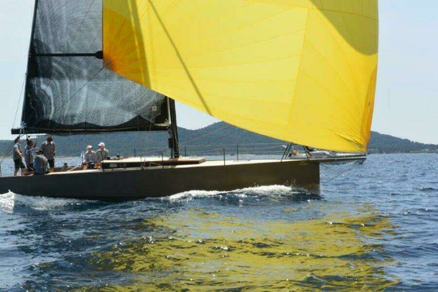 2026 Black Pepper Code 1