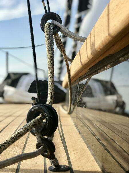 2026 Black Pepper Code 1