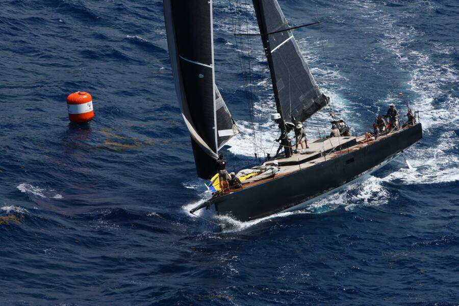 2026 Black Pepper Code 2