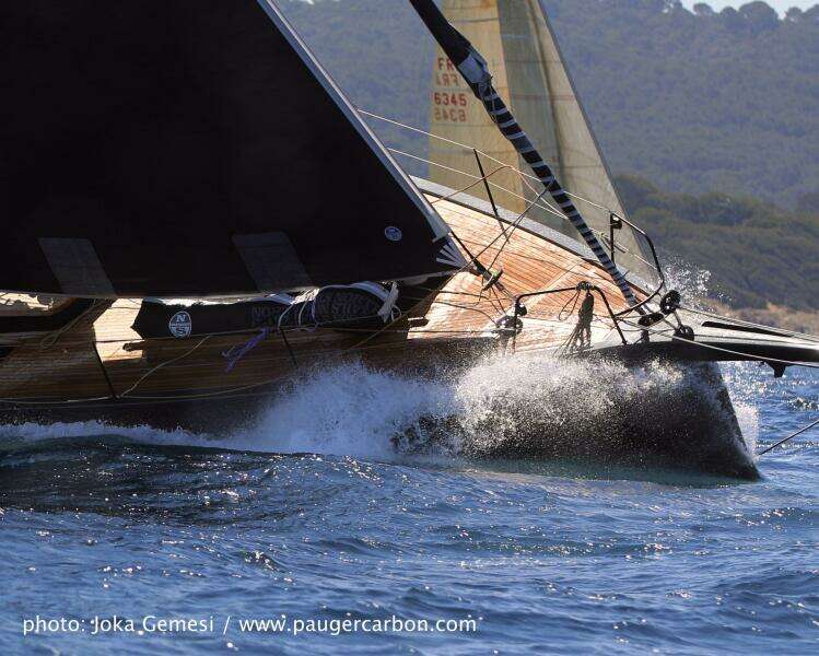 2026 Black Pepper Code 2