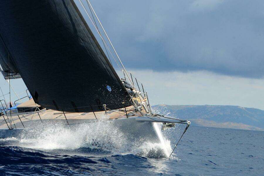 2026 Black Pepper Code 3