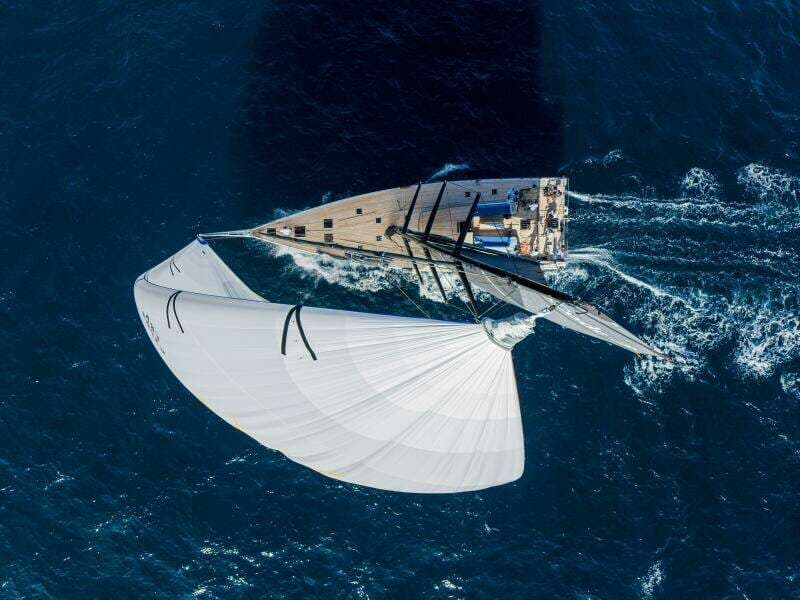 2026 Black Pepper Code 3