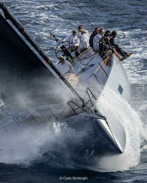 2026 Black Pepper Code 3