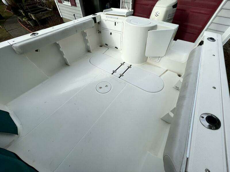 2001 Aquasport 250 Explorer