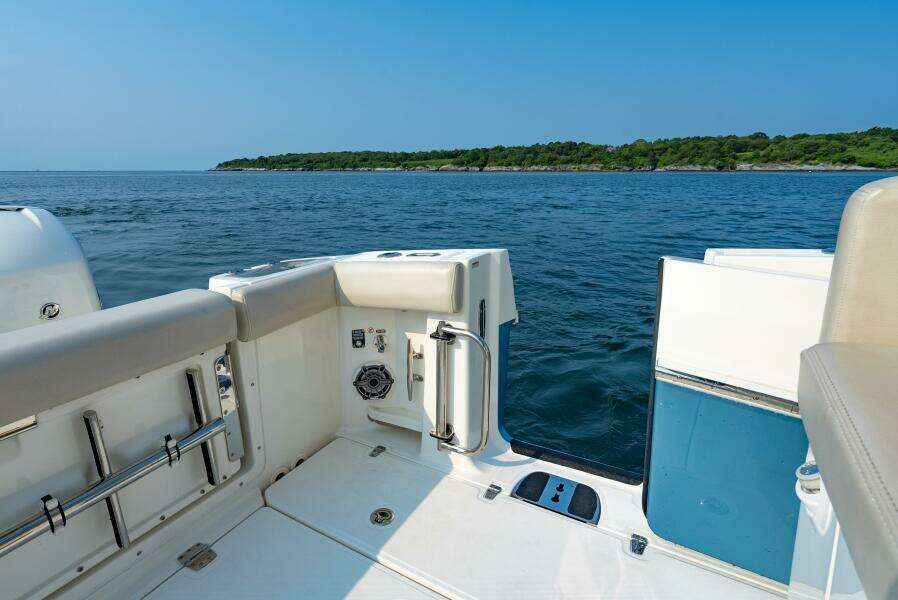 2019 Boston Whaler 350 EX Realm