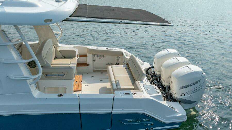 2019 Boston Whaler 350 EX Realm