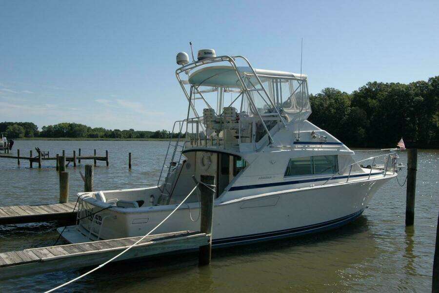 1987 Bertram 33 Sport Fisherman