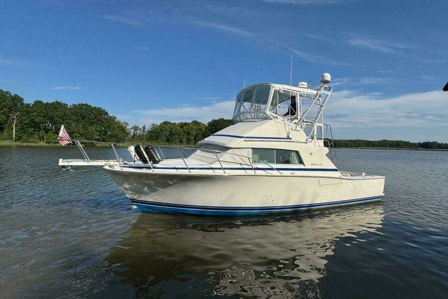 1987 Bertram 33 Sport Fisherman
