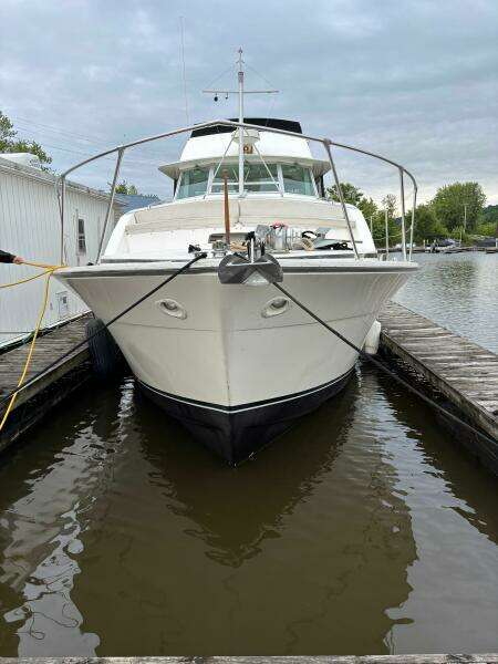 1977 Bertram 42 Motor Yacht