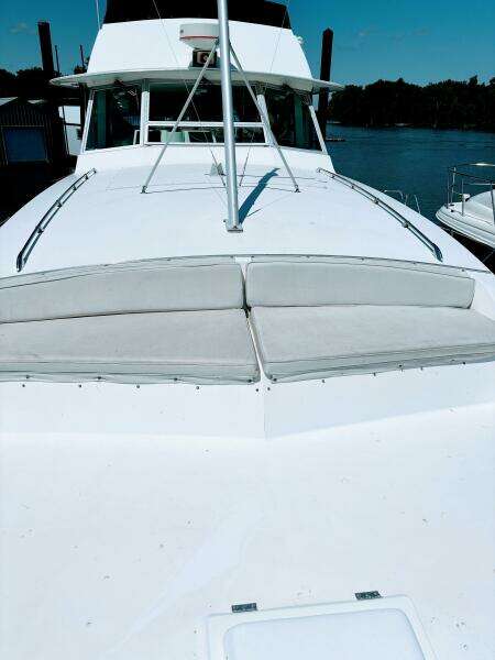 1977 Bertram 42 Motor Yacht