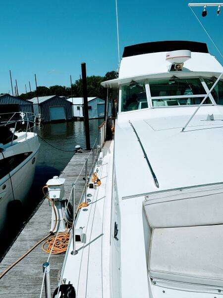 1977 Bertram 42 Motor Yacht