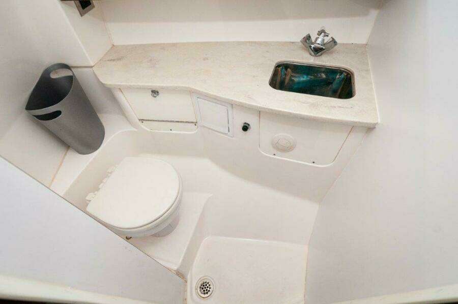 2018 Everglades 350 LX- Head