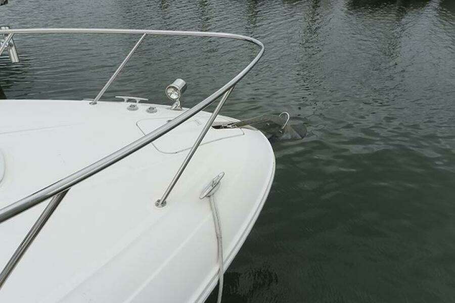 2010 Sea Ray 310 Sundancer