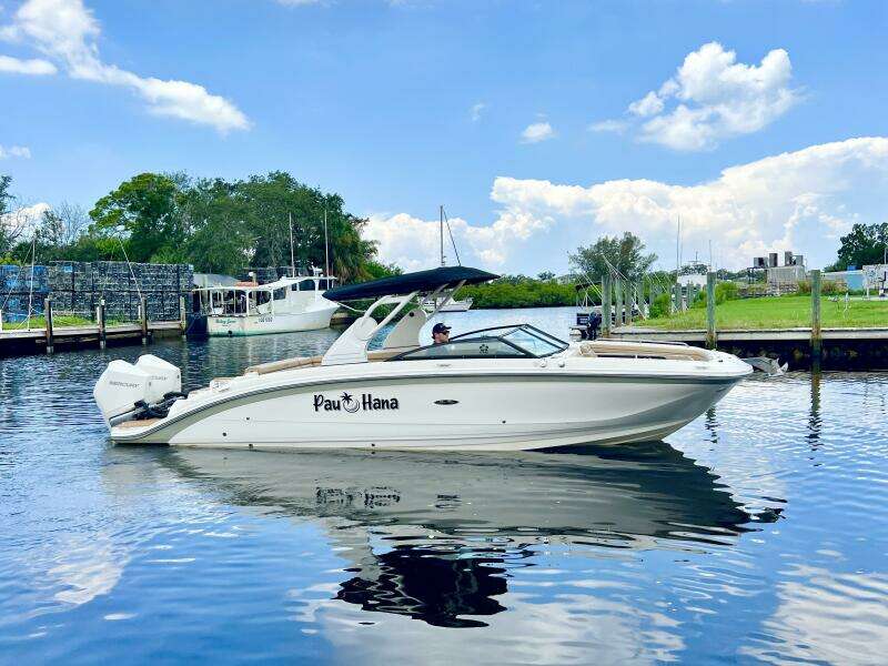 2019 Sea Ray SDX 290 OB