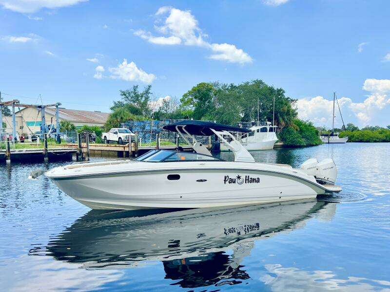 2019 Sea Ray SDX 290 OB