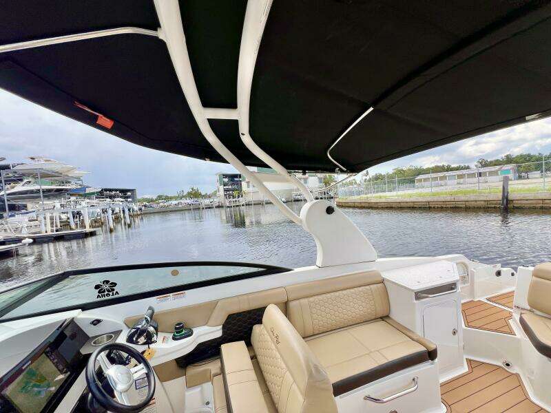 2019 Sea Ray SDX 290 OB