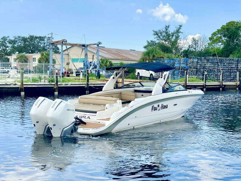 2019 Sea Ray SDX 290 OB