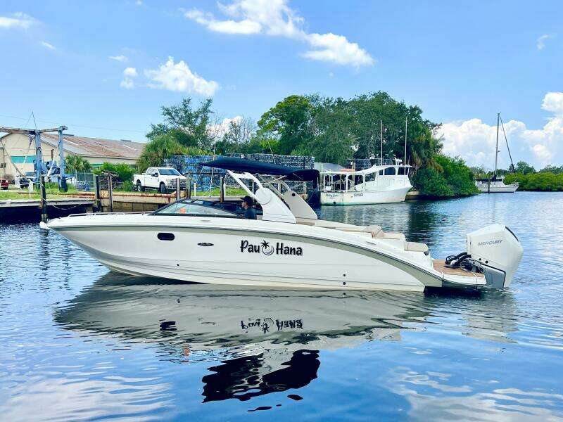 2019 Sea Ray SDX 290 OB