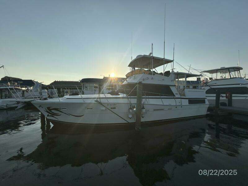 44' Viking port forward profile