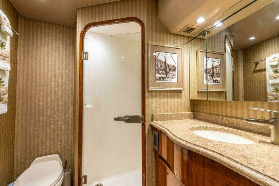 2015 Viking 66 No Collars - Head