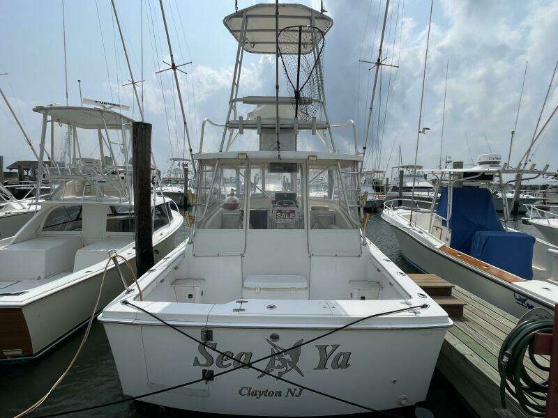 1993 Luhrs Tournament 290 Open