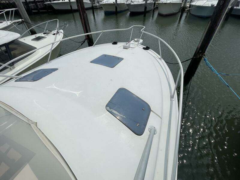 1993 Luhrs Tournament 290 Open