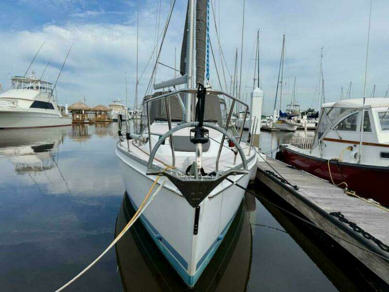 2011 Catalina 355