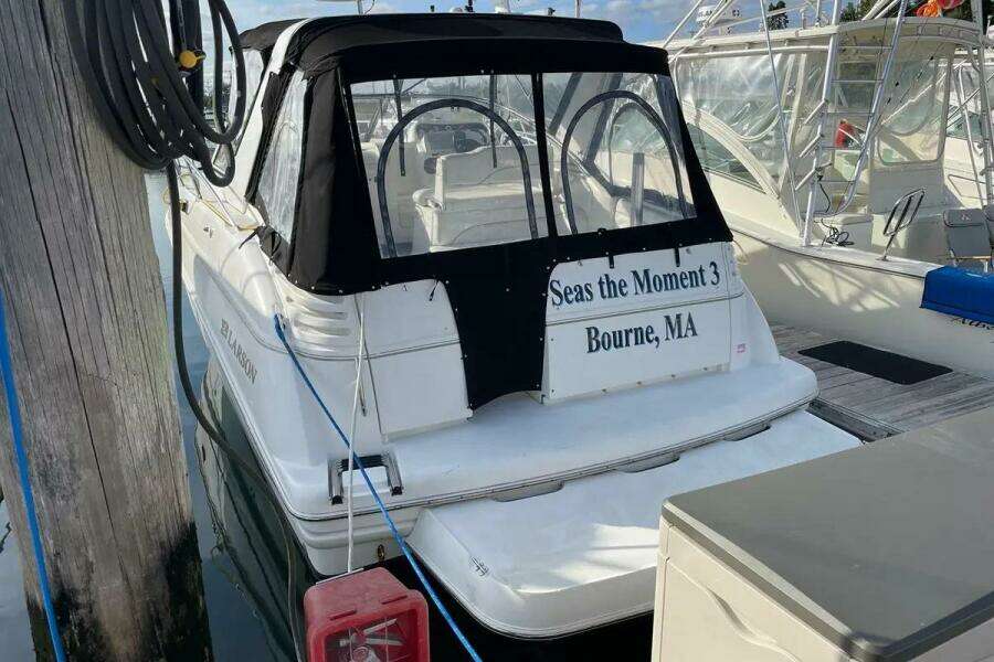 2001 Larson Cabrio 330