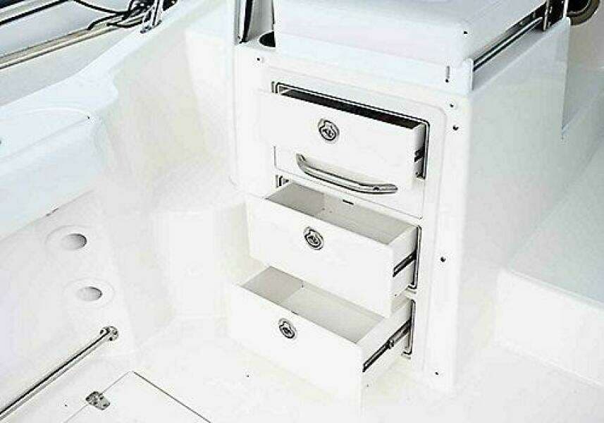 2019 Boston Whaler Conquest