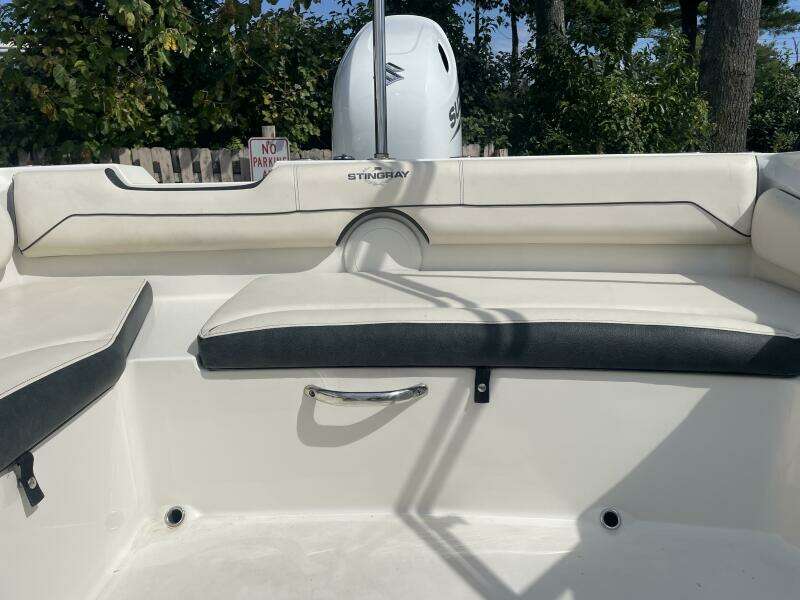 2023 Stingray 191 DC