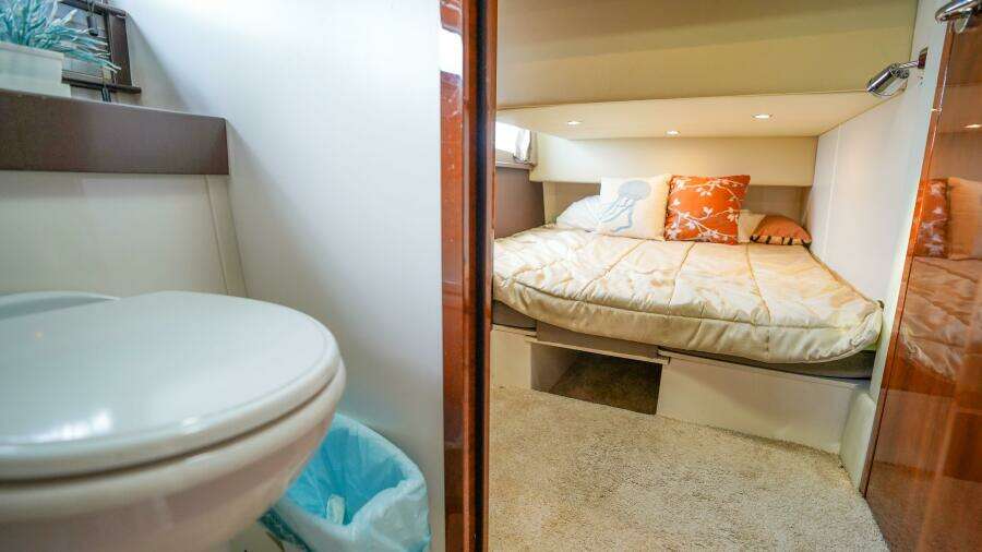 2015 Carver C-43 Coupe