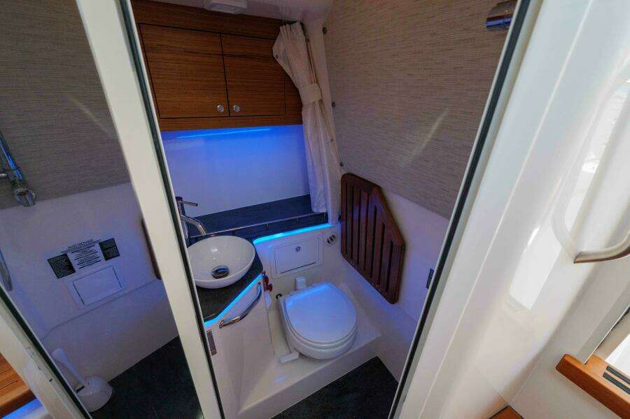 Boston Whaler 380 Realm- Head