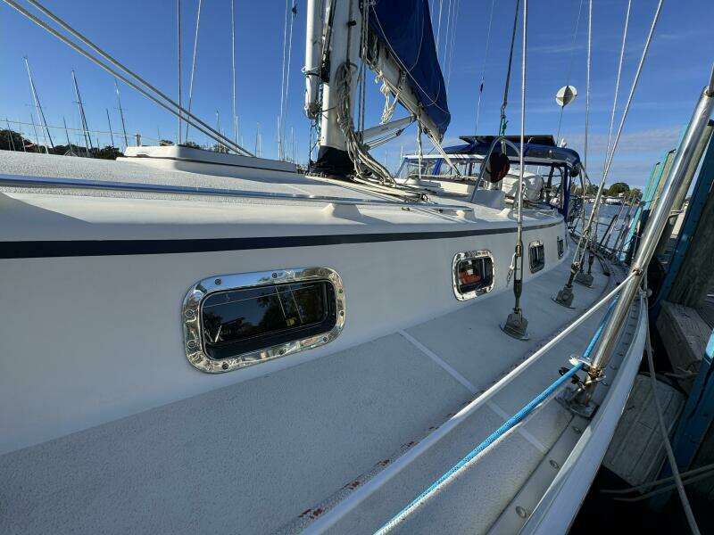 Cabin top and port lights